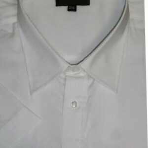 metaphor-white-shirt